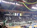 ultras of panathinaikos fans, gate13 sing:
oe oe pao ole, prasine thee panathinaike, ein' ena horto magico