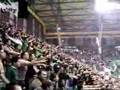 Panathinaikos fans - horto magiko