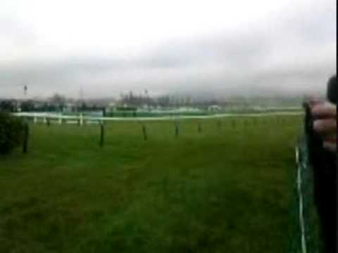 cheltenham races