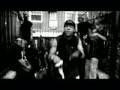 Icewater- Animal