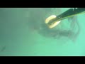 videos kayak