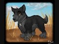Shadow's Reason
