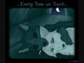 Shadow's Reason