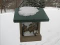 A Winter at Appleman
