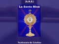 testimonio de catia rivas sobre la santa misa 1/10
