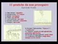 De Kerckhove - Intelligenza connettiva - parte 4 Guarda video
