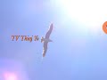 Paj Huam : TV Thisj Yog Tshuaj Muaj Mi Nyuam.mov
