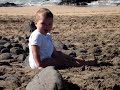 guaje majony día de playa