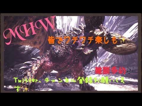 動画