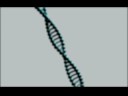dnaribonucleic-model-loop.html