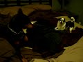 Dog Fight!