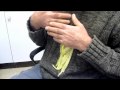 Cockatiel with signs of chronic PBFD and liver disease gets nail clip and drops by mouth