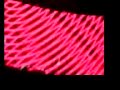new-years-day.html