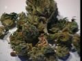 Die Bekiffte Republik - Cannabis: Illegal, Legal, egal? P.1