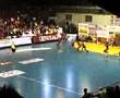 DVSC-FTC