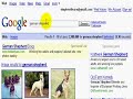How To Build Your Opt-In List From Scratch