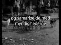 videos de Herreløse hunde - wspa.dk