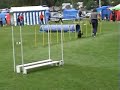 Agility Bor�s Zorro