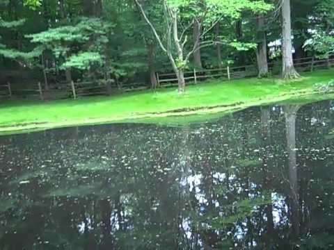 Some Trick Worm Bass Fishing