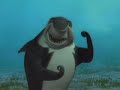Shark Tale double x square