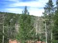 Aspen Ridge Cabin w/Hot Tub - Colorado (www.vrbo.com/130646)