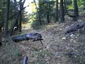 Nature Walk (17th Oct. 2008) 2