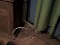 Volada N�1