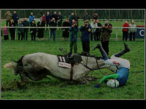 horse racing horse racing