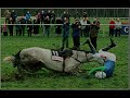 Horse Racing: Cruelty Behind the Glamour