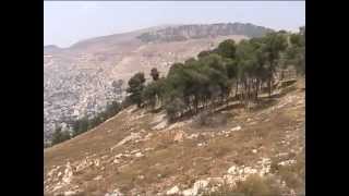  | موسوعة التراث الفلسطيني