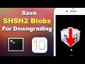 Save iOS 10.3.1 SHSH2 Blobs for Downgrading (3 METHODS - Mac & Windows) | Preserve Your Jailbreak! Save iOS 10.3.1 SHSH2 Blobs for Downgrading (3 METHODS - Mac & Windows) | Preserve Your Jailbreak!