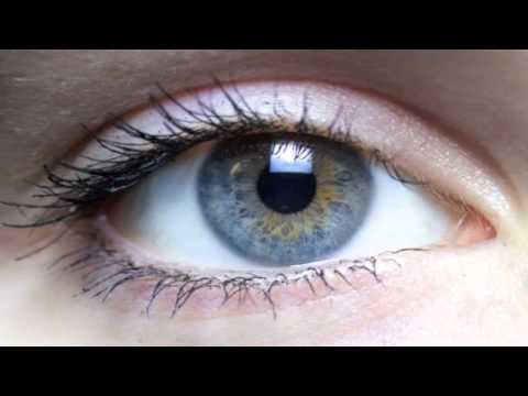 how to dissolve human bones