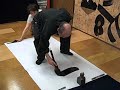 7. Calligrapher