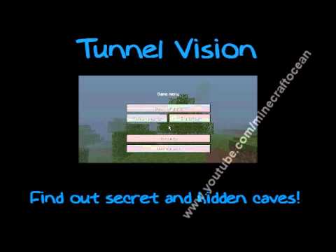 how to activate x ray mod in minecraft