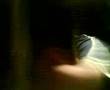 videos de Lacra besando a Giov XD