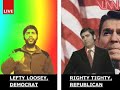 VNN News Report VNN News Report