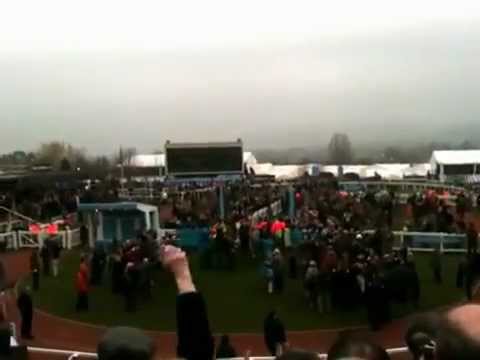 racing results cheltenham