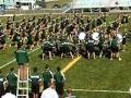 Ohio University Party Rock Anthem Conneaut Municipal Stadium Oct 7 2011.mpg