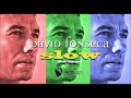 David Fonseca – Slow 
