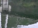 ２００８年９月２１日（日）トップウォーターミーティング丹沢湖