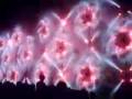 fireworks for sale online