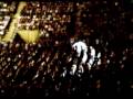 Beppe Grillo, Pavia, Reset 2007