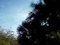 Canoeing thru the AWKbird passage,Myakka RiverPortCharlotte
