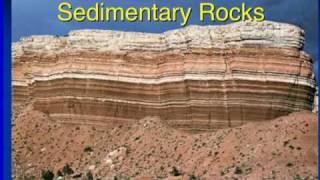 Evidence of Evolution From Fossil Record