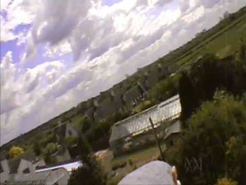 Racing pigeons flight video.