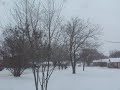 Rocket Snow Fall! Rocket Snow Fall!