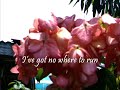 untitled by simple plan  with lyrics 