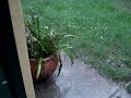 thh
