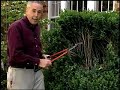 Virginia Farm Bureau - In the Garden - Pruning trees Virginia Farm Bureau - In the Garden - Pruning trees