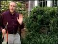 Virginia Farm Bureau - In the Garden - Pruning trees